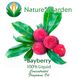 Аромамасло Nature's Garden - Bayberry (Бейберри), 5 мл