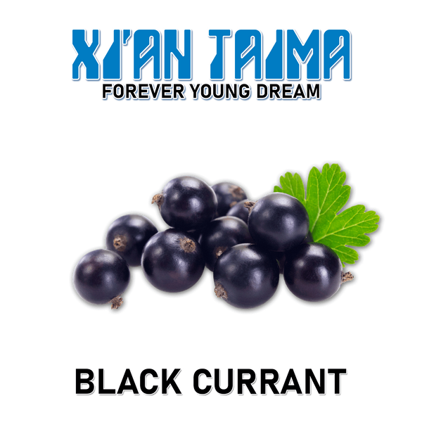 Ароматизатор Xian - Black Currant (Чорна смородина), 1л XT007