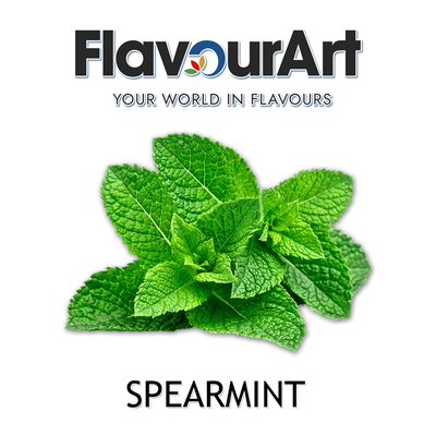 Ароматизатор FlavourArt - Spearmint (М'ята), 50 мл FA109