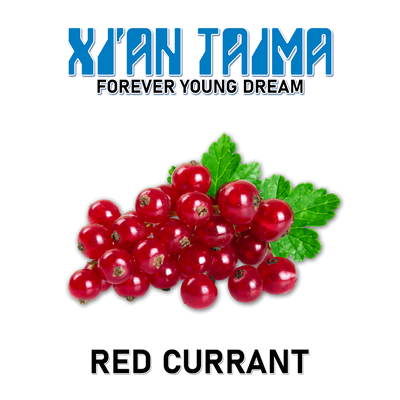 Ароматизатор Xian - Red Currant (Червона смородина), 1л XT091