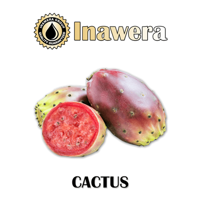 Ароматизатор Inawera - Cactus (Кактус), 10 мл INW017