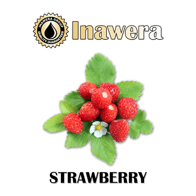 Ароматизатор Inawera - Strawberry (Суниця), 1л INW083