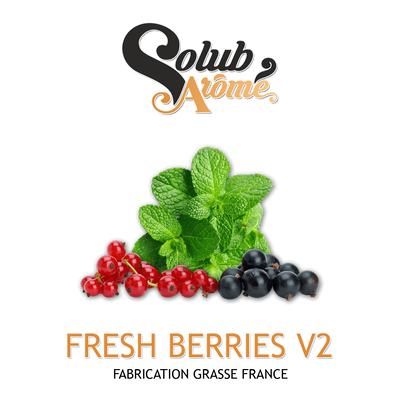 Ароматизатор Solub Arome - Fresh Berries v2 (Чорнично смородиновий мікс з доповненням м'яти та ментолу), 50 мл SA055