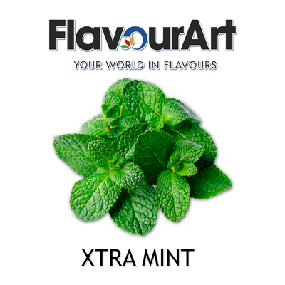 Ароматизатор FlavourArt - Xtra Mint (Екстра м'ята), 10 мл FA126